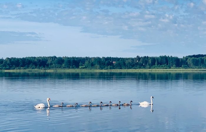 100 päeva eesmärkide väljakutse