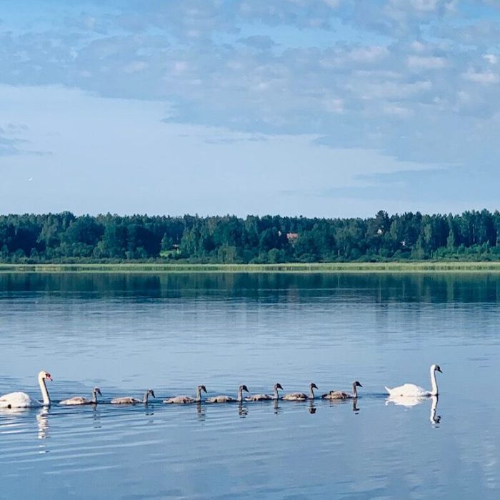 100 päeva eesmärkide väljakutse