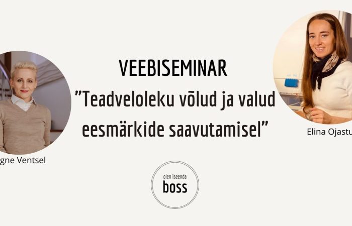 Veebiseminar Enesejuhtimine kodukontoris-6