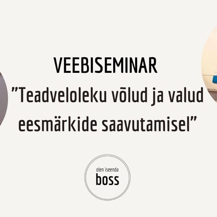 Veebiseminar Enesejuhtimine kodukontoris-6