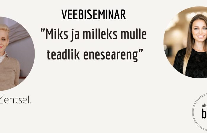 Veebiseminar Enesejuhtimine kodukontoris-7