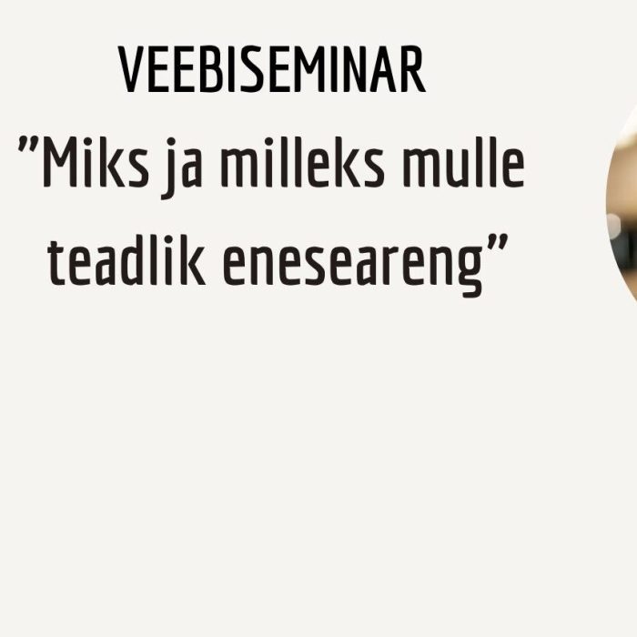 Veebiseminar Enesejuhtimine kodukontoris-7